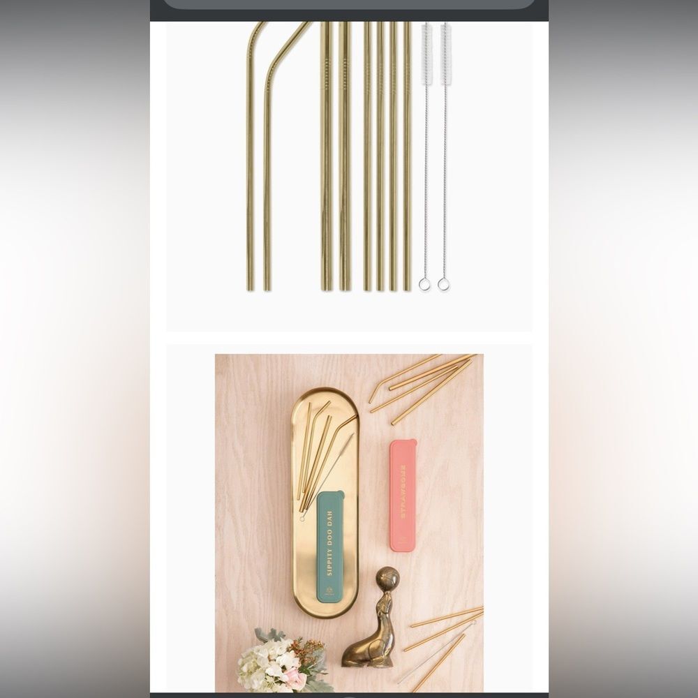 DESIGNWORKS INK Wish Upon a Straw‎ Gold Reuseable Straw Set Straws &  Brushes